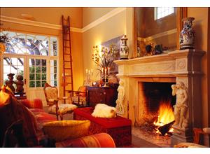 Colona Castle Lounge and Fireplace